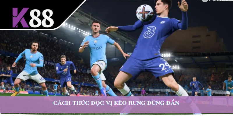 Cách thức đọc vị kèo rung đúng đắn 
