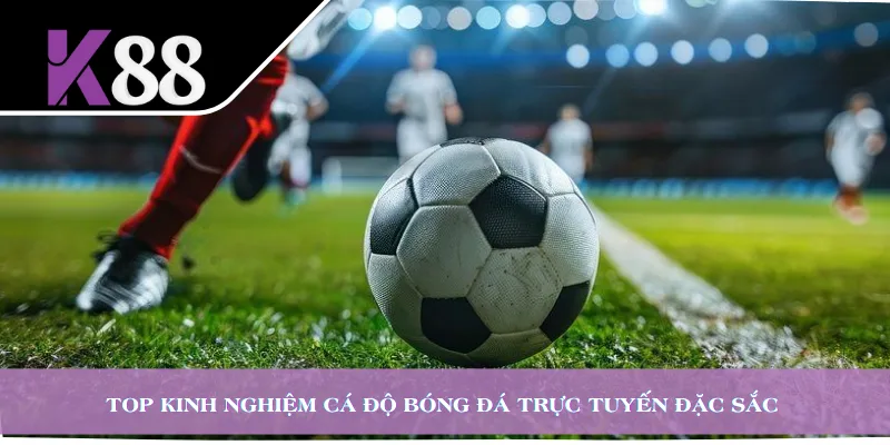 Top kinh nghiệm cá độ bóng đá trực tuyến đặc sắc